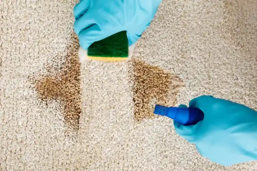 What To Expect During A Professional Carpet Cleaning Service Fontana, CA What To Expect During A Professional Carpet Cleaning Service Fontana, CA